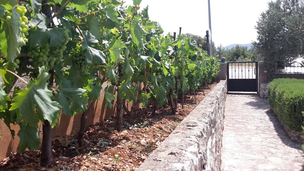 Amadrian Apartments شيبينيك المظهر الخارجي الصورة