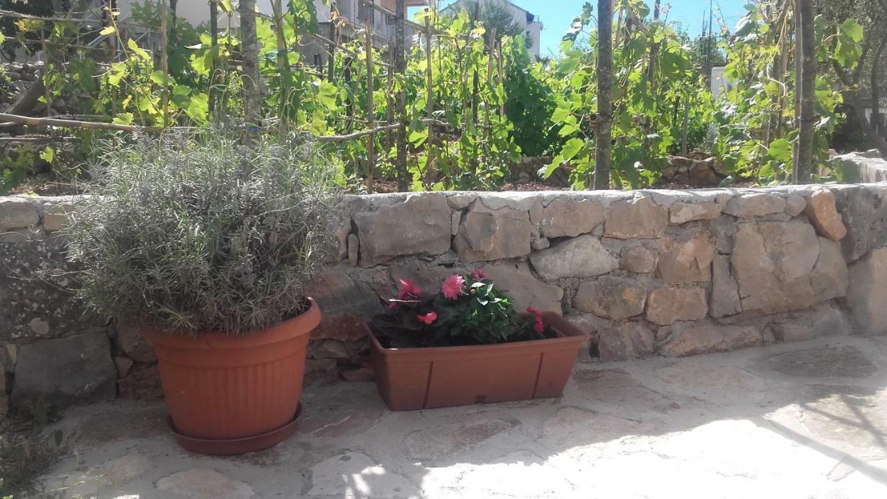 Amadrian Apartments شيبينيك المظهر الخارجي الصورة